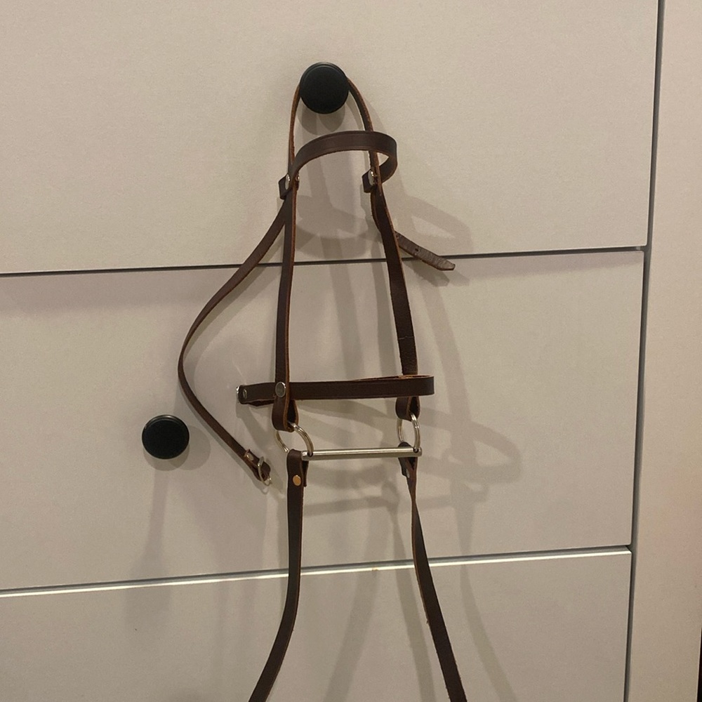 hobby horse accessories,  - 2 bridles and a halter, green reins and 2 carrots.